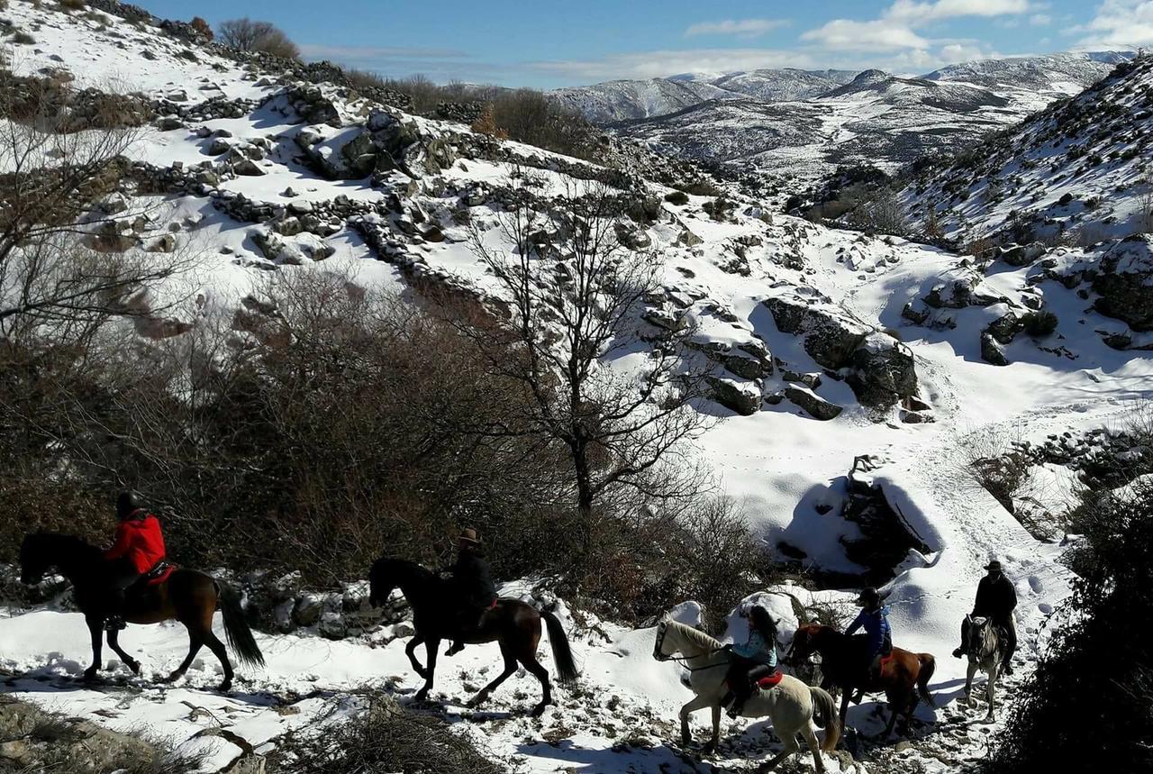 La Pasailla De Gredos Guest House Navacepeda de Tormes Eksteriør bilde